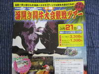黒皮かじき 2008/04/12 08:00:59