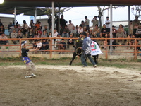 カチャーシーの天才 2008/04/09 08:18:43