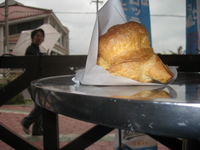 すいじ貝むどぅち 2008/04/16 07:46:17