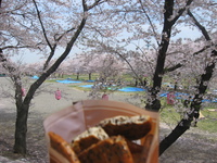 我が家とお別れ・・・ 2008/04/07 07:59:01