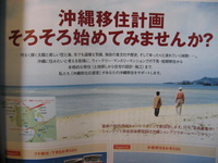 ゴーヤー茶の沖縄暮らしは？ 2008/05/20 07:10:58