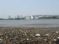 ペルリ　お台場に現る 2008/05/26 06:21:20
