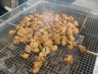 中身　中味　シロ　生ホルモン 2008/05/08 06:37:03