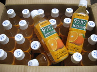 オジィはだまされた 2008/06/29 06:45:19