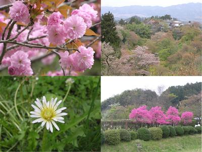 吉野*飛鳥巡り。