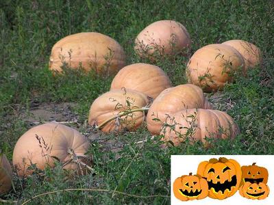 ハロウィン。