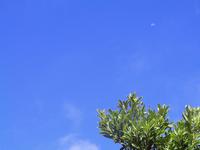 朝ごはん！ 2008/07/27 09:16:43