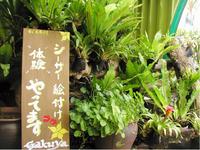 やってます。 2008/08/10 09:05:00