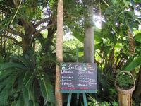 fuu cafe ... 2008/08/08 10:12:57