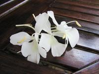 快晴の朝！ 2008/08/15 09:09:30