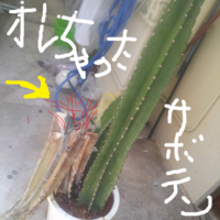 2012年05月18日