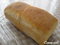 山食・・・失敗作 2008/05/29 09:33:39