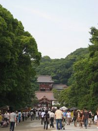 鎌倉へ 2008/06/19 07:31:00
