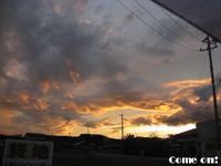 さくらんぼ茶 2008/07/05 08:43:51