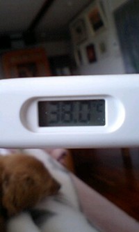 ぐったり… 2008/03/30 11:11:00