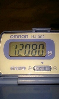 ウォーキンぐぅ〜〜♪ 2008/05/20 12:55:00