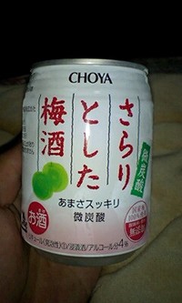２０歳になってから♪ 2008/05/24 00:36:00
