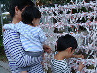 2012年01月11日