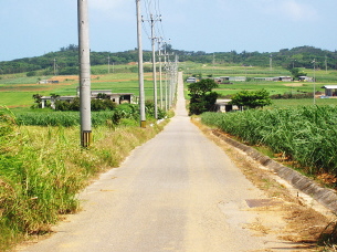 小浜島