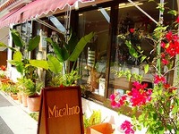 雑貨屋　Micalmo