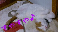 2012年01月05日