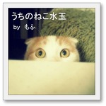 もふ