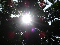 お言葉 2007/10/26 10:32:34