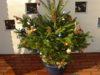 December 2007/12/03 10:53:18
