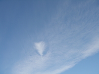 The Angel in the sky 2007/10/15 10:51:37