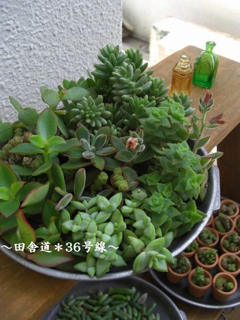 *カットの巻き。よん。