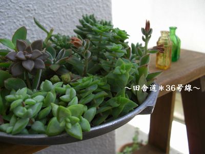 *カットの巻き。よん。