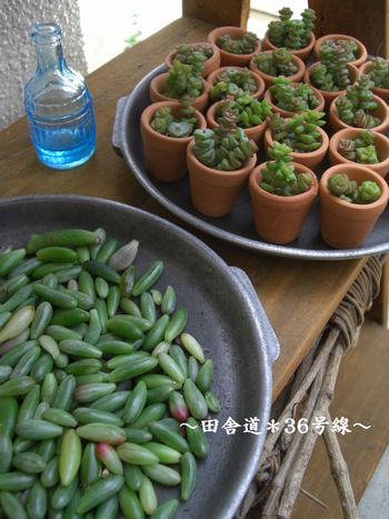 *カットの巻き。よん。