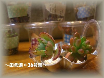 *おやこ市*
