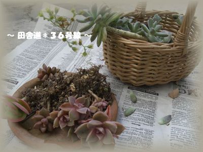 引越しです。。