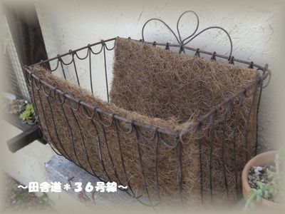 多肉教室 ~part3~
