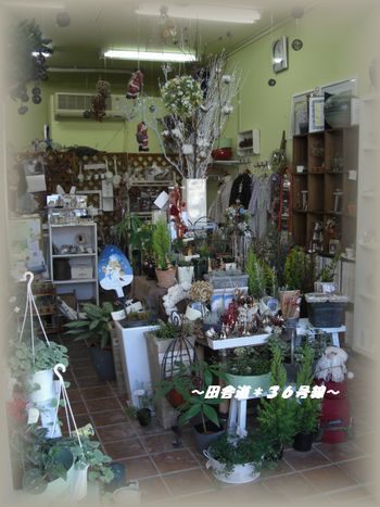 Flower shop Clover