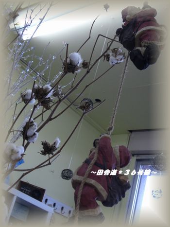 Flower shop Clover
