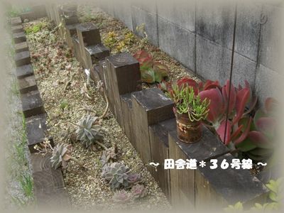 引越しです。。