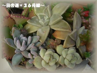 そろそろ。。。