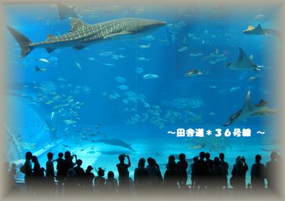 楽しかったぁ~~♪\(^ー^)/