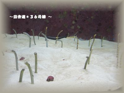 楽しかったぁ~~♪\(^ー^)/