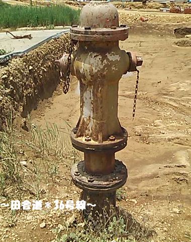 消火栓。
