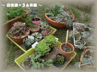 引越しです。。