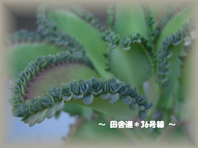 今日も一日。。。