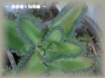 今日も一日。。。