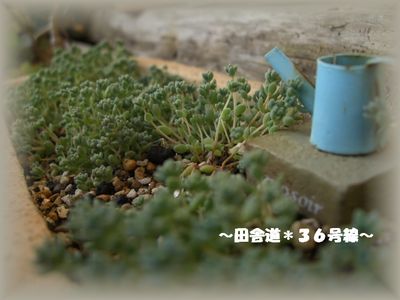 プレゼント受付終了しました。