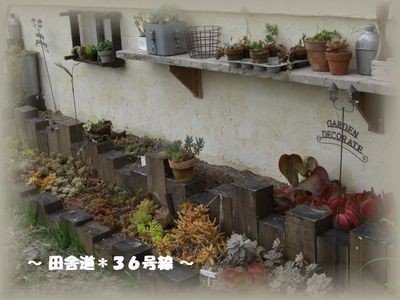 やっと。。。(^ー^)♪