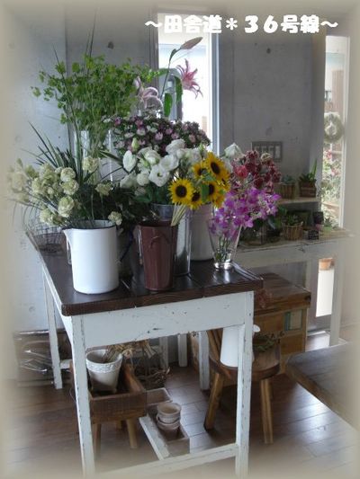 *CAFE FLOWER NEO* ~植物編~