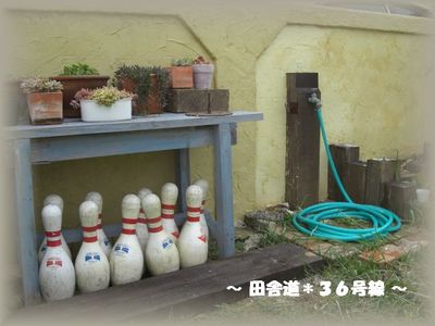*多肉畑~漆喰~ 2