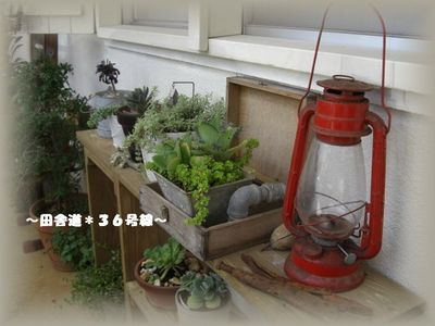 *zakka shop T-Colors*